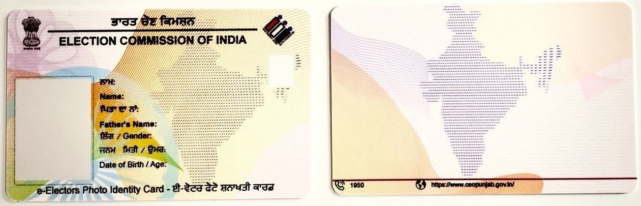 Driving License Sample