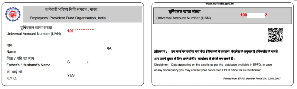 Driving License Sample